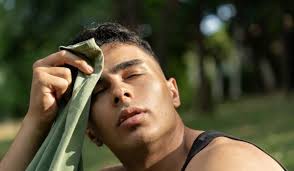 Meals On Wheels Is A Climate-Relief Model