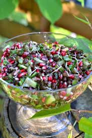 Pin On Indian Salads