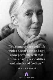 Yvonne Elder (wingevie)