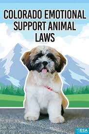Colorado Emotional Support Animal Laws Esa Doctors