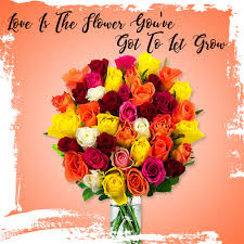 Flower Delivery In Pune Send Flowers To Pune Online Rs 399 Winni Flower Delivery Online Flower Delivery Flowers Online