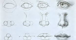 Augen Mund Und Nase Zeichnen Lernen Dekoking Nase Zeichnen Gesicht Zeichnen Lernen Malen Und Zeichnen