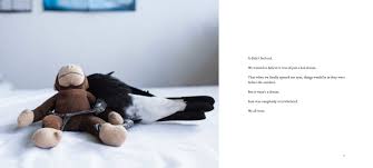 Read 255 reviews from the world's largest community for readers. Penguin The Magpie Book By Cameron Bloom Bradley Trevor Greive Official Publisher Page Simon Schuster