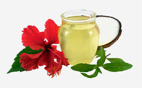 Anasuria hibiscus segment is a key revenue driver, which is focused. Hibiscus Oil Packaging Size 1 Kg 35 Kg Rs 350 Bottle Cyrus Enterprises Id 4199001230