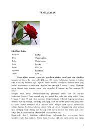 Majalahpendidikan.com akan menyampaikan materi pembelajaran dengan judul contoh kalimat deskripsi. Makalah Budidaya Bunga Mawar