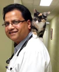 Vet Clinics and Hospitals in Milton, ON. DVM Emmanuel Aziz.