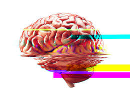Why Your Brain Freezes Under Pressure