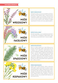 Jest to inicjatywa słowenii, która w ten sposób chciała. Dzien Pszczol Pakiet Edukacyjny Eko Kalendarz