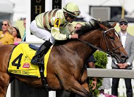 english channel half sis to derby winner makes the grade on