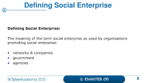 Legal entity or its part or a natural person which fulfils principles of the social enterprise; Ppt Social Enterprise The Challenge Of Sustainability Powerpoint Presentation Id 1134508