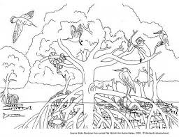 Mangrove To Colour Coloring Pages Coloring Pages For Kids Ocean Coloring Pages