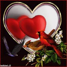 Https Encrypted Tbn0 Gstatic Com Images Q Tbn And9gcqo8wq Njn1f1i3n Ocrnw4gzolkixlwxrbnq Usqp Cau