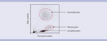 Side scatter is helpful for identification of cells with. Flow Cytometry Basics Flow Cytometry Miltenyi Biotec Technologies Macs Handbook Resources Miltenyi Biotec Usa