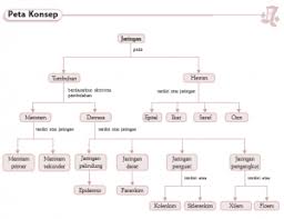 Documents similar to sistem saraf pada manusia. Organisasi Tingkat Jaringan Sel Epitel Akar Tumbuhan Tulang Otot Daun Meristem Kuliahkechina Com