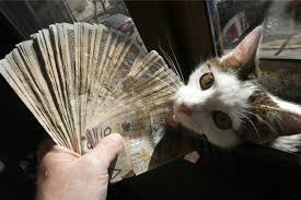 Waloryzacja rent i emerytur w 2021 roku to. Waloryzacja Emerytur 2021 Artykuly Nowa Trybuna Opolska