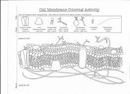Name answer key date period cell membrane & tonicity worksheet composition of the cell membrane & functions the cell membrane is also. 6 Cell Membrane Coloring Worksheet With Complete Answers Cell Membrane Coloring Worksh Cell Membrane Coloring Worksheet Color Worksheets Cell Membrane Activity