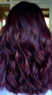 25 Burgundy Hair Color Ideas In 2019 Hair Color Burgundy Brunette Hair Color Plum Hair