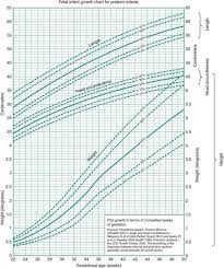 the newborn infant obgyn key