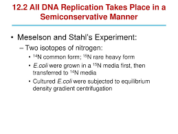 A deoxyribose sugar, a phosphate, and a the process that copies dna is called replication. Dna Replication And Recombination Ppt Video Online Download