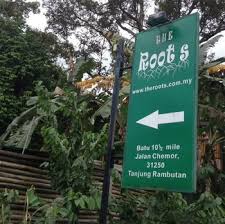 2 просмотра 1 год назад. Hotel The Roots Eco Resort Malaysia At Hrs With Free Services