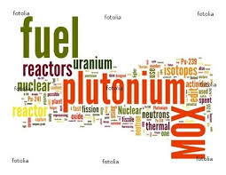 japan says burning mox is key to reduce plutonium stocks