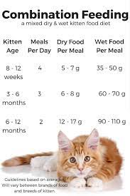 Combi Kitten Food Chart Kitten Food Feeding Kittens Kitten Care