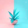 Each color scheme contains the html color codes you will need when coding your website template. 1