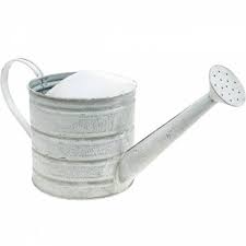 What to do with a metal watering can? Decorative Watering Can Vintage Metal Planter White Washed H16cm 12068 Buy Online