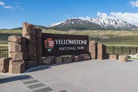 Rv parks yellowstone south entrance. 10 Insider Tips For Visiting Yellowstone Infographic