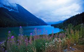 Beautiful Scenery And Mountainous River Flowers Green Trees Vegetation Hd Wallpapers Wallpaperbetter Download flower hd images and wallpapers with names. beautiful scenery and mountainous river
