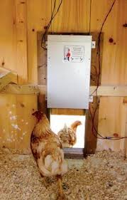 Solar Powered Chicken Coop Backwoods Home Magazine Urban Chicken Farming Diy Chicken Coop Building A Chicken Coop