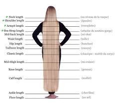 Differente Longueur De Cheveu Longueurs De Cheveux Longueur De Cheveux Cheveux