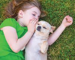 Pet and the single youngster
