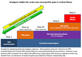 Pulmcrit Reengineering The Analgesic Ladder For Critically