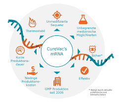 No large trials of any mrna vaccine have been completed yet. Mrna Eine Neue Klasse Von Wirkstoffen Pharma 2021