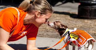 Oc provides our adopters with support. Dog Adoption Events Denver The W Guide