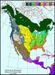 Key Biome Map Coloring Worksheet Tree Communities Of The Forest Biomes Of North America Biomes Forest Map Boreal Forest