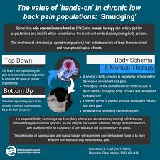 Image result for training effect schema