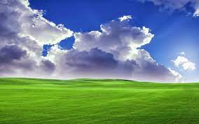 http link tl ppql wallpapers wallpaper