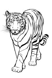 20 Ideen Für Tiger Ausmalbilder Beste Wohnkultur
