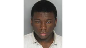 Officer shoots at stolen van ramming cruiser