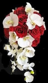 Hydrangea bouquet wedding orchid bouquet bouquet wrap diy wedding bouquet floral bouquets wedding flowers ribbon wedding purple bouquets lily bouquet. Cascade Bouquet Of Red Roses Off White Orchids Red Bouquet Wedding Flower Centerpieces Bridal Bouquet
