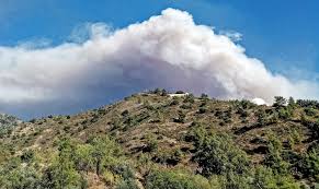 Four people have been found dead as a huge fire raged for a second day in cyprus, razing tracts of forest in a blaze one official called the worst on record. Pzhwpgblumcgrm