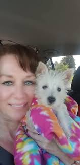 Westie brings joy after loss