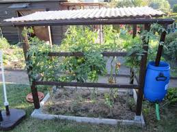 Individuelle Mobel Selber Bauen Tomatenhaus Selber Bauen Tomatenhaus Tomaten Haus