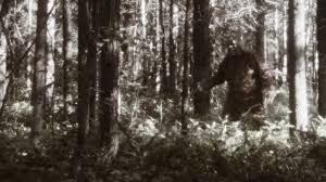 Is Bigfoot real? Everything you need to know about the Sasquatch | Live  Science