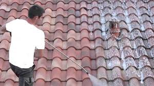 Check spelling or type a new query. Cout Nettoyage Toiture Laquelle Choisir Works Travaux