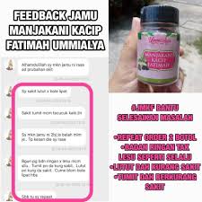 Labisia pumila, yang dikenal sebagai kacip fatimah, adalah tanaman herbal yang memiliki banyak manfaat dalam dunia kesehatan.oleh. Fel Baby Moms Makan Manjakani Kacip Fatimah Duluan 2 Facebook