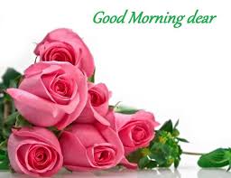 Pin On Good Morning Images