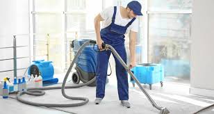 Why Hire Professional Home Cleaning Services - Ami Entrepreneur